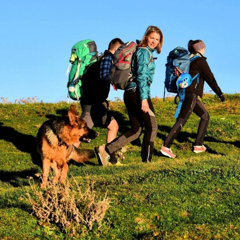 Trekking